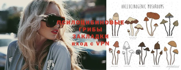 mdpv Верхний Тагил