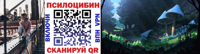 Псилоцибиновые грибы GOLDEN TEACHER  Абакан 